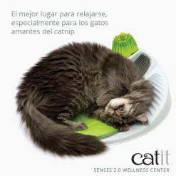 Cat it Senses 2.0 Wellness Center