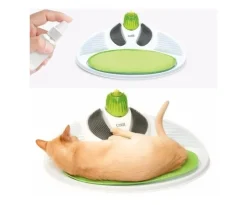 Cat it Senses 2.0 Wellness Center