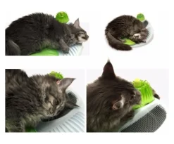 Cat it Senses 2.0 Wellness Center
