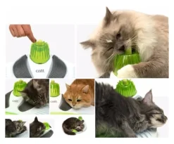 Cat it Senses 2.0 Wellness Center