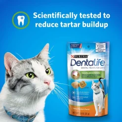 Dentalife Gato PACK 12 unidades