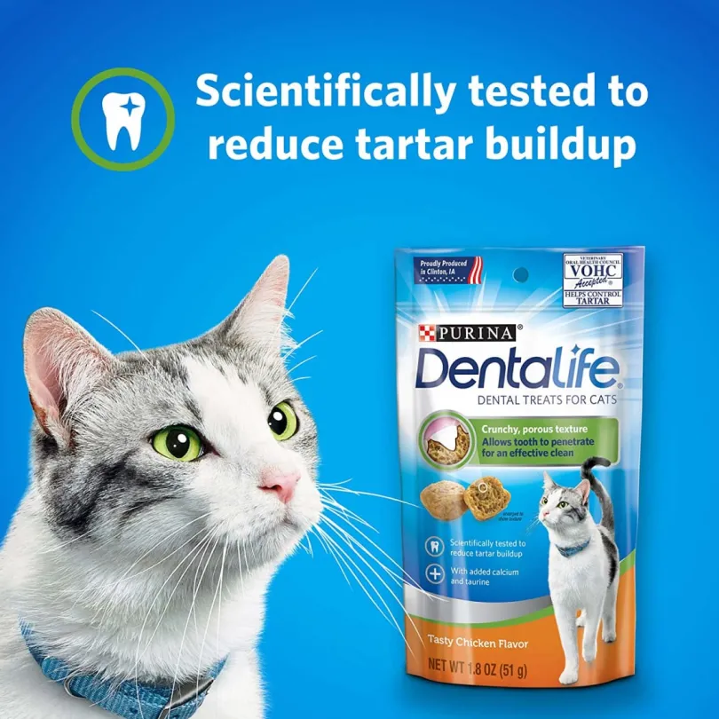 Dentalife Gato PACK 12 unidades