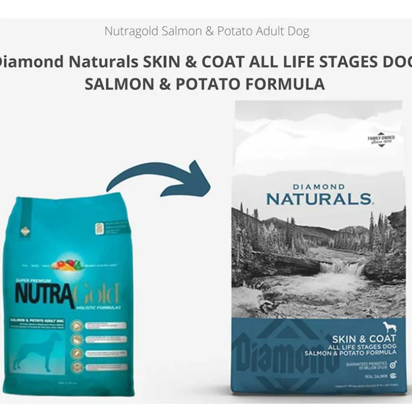 Diamond Naturals Skin Coat All Life Stages Salmon Potato 7.5kg
