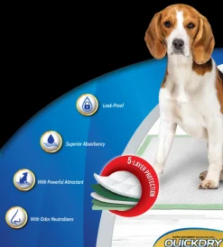 Dog It Carpeta Orientadora Medium 30 Unidades