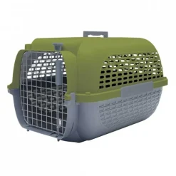 Dog It Voyageur Color Verde Musgo con Gris Oscuro Large