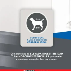 Excellent Cat Adult 3 kg