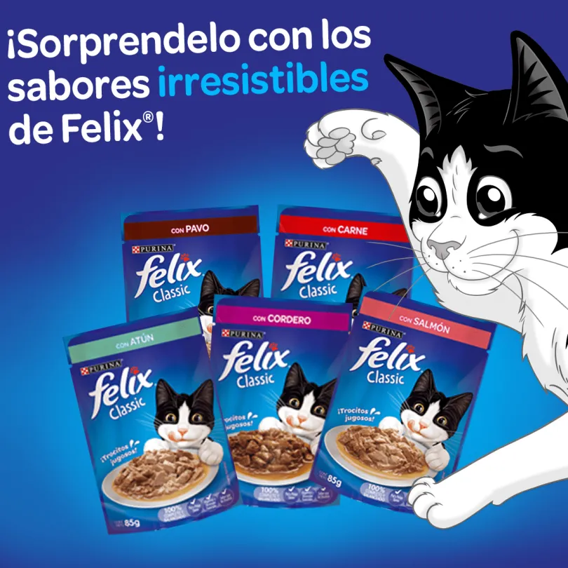 Felix Adultos Carne en Salsa 85gr Pack 15 Unidades