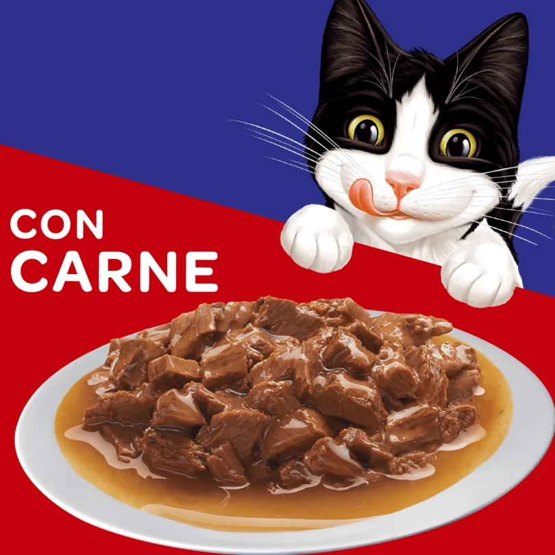 Felix Adultos Carne en Salsa 85gr