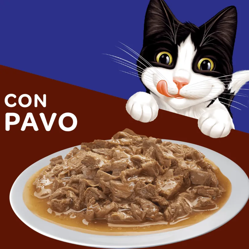 Felix Adultos Pavo en Salsa 85gr