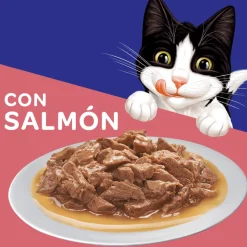 Felix Adultos Salmón en Salsa 85gr