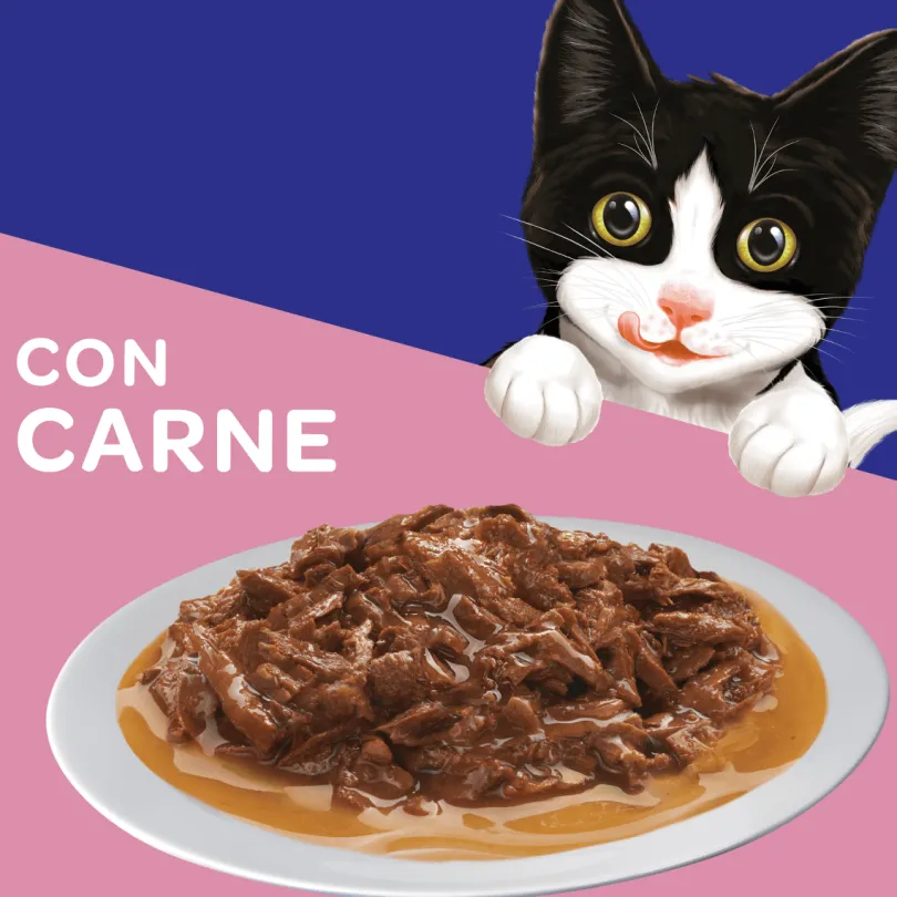 Felix Gatitos Carne en Salsa 85gr Pack 15 Unidades
