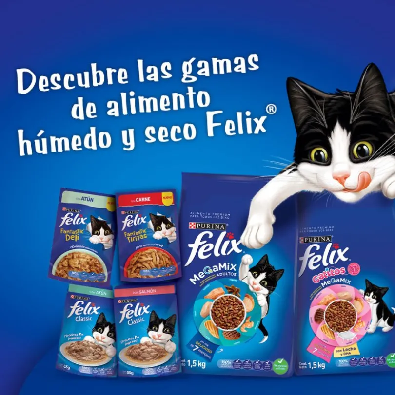 Felix Megamix Gato Adulto 15 kg
