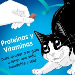 Felix Travesuras Camaron, Salmón y Atun 60gr Pack 15 unidades