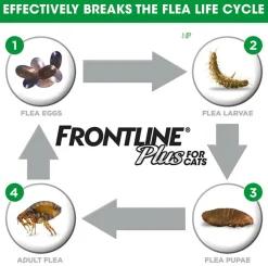 Frontline Plus Pipetas Gatos