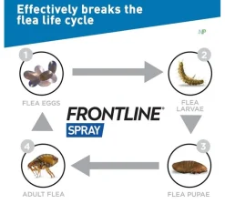 Frontline Spray Antipulgas Perros y Gatos 100ml x 2 unidades