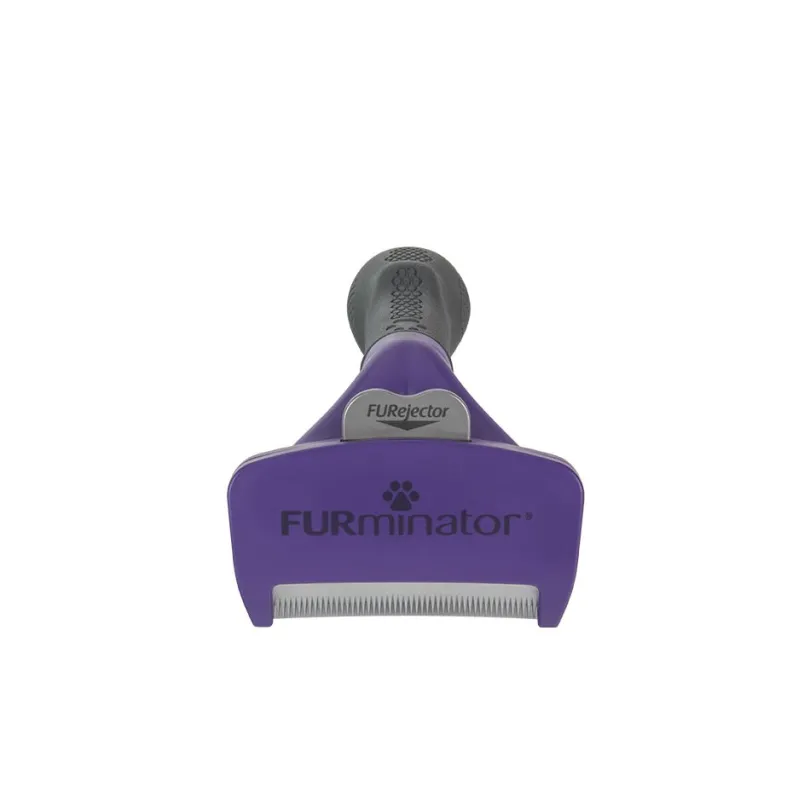 FURminator SHORT HAIR deShedding Tools FOR CAT, Medium / Large