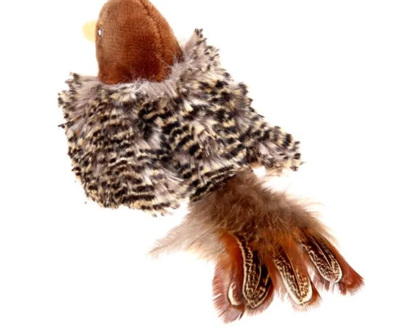 Gigwi Melody Chaser Pajaro