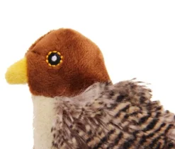 Gigwi Melody Chaser Pajaro
