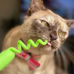 Gigwi Raton con Catnip Para cuidado dental Verde