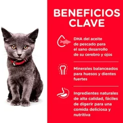 Hills Cat Kitten Indoor 3.17kg