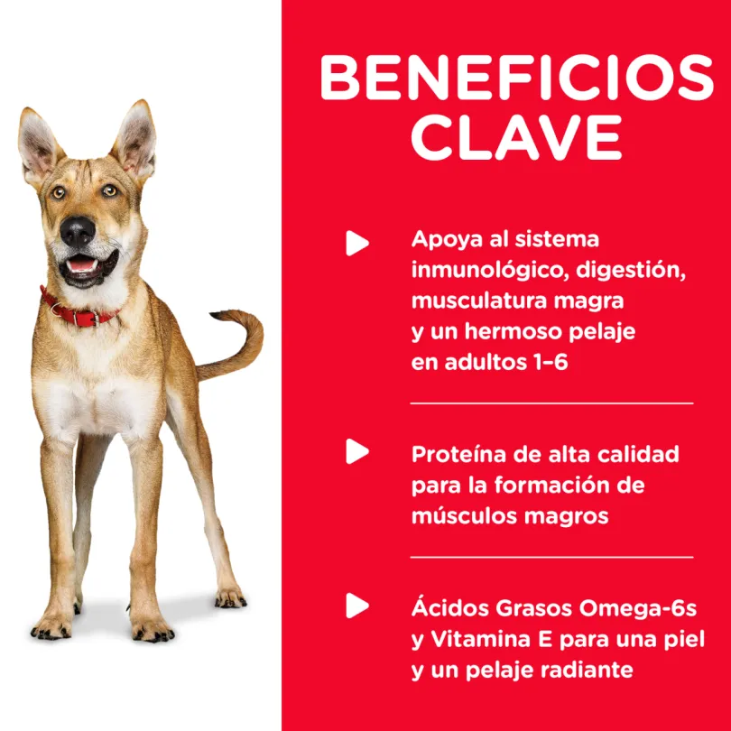 Hills Dog Adulto Pollo y Cebada 370gr X 12 Unidades