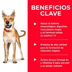 Hills Dog Adulto Pollo y Cebada 370gr