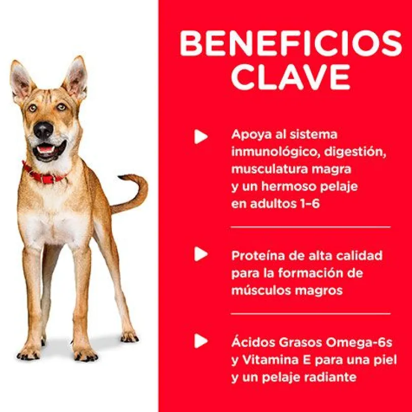 Hills Dog Adulto Pollo y Cebada 370gr