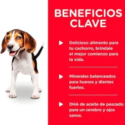 Hills Dog Puppy Pollo y Cebada 370gr Pack 12 Unidades