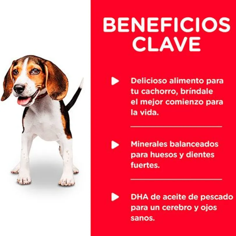 Hills Dog Puppy Pollo y Cebada 370gr Pack 12 Unidades