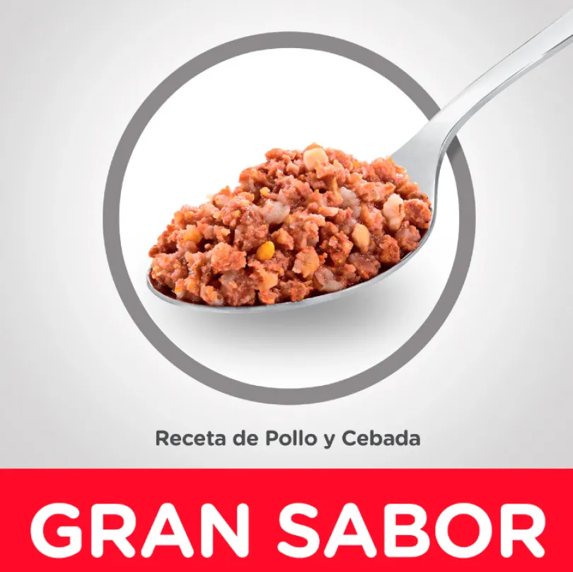 Hills Dog Senior Lata Pollo y Cebada 370gr