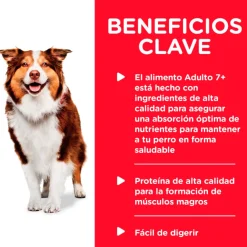 Hills Dog Senior Lata Pollo y Cebada 370gr