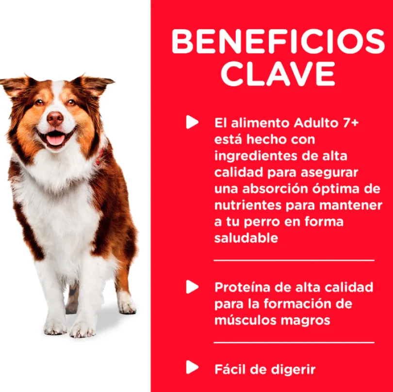 Hills Dog Senior Lata Pollo y Cebada 370gr