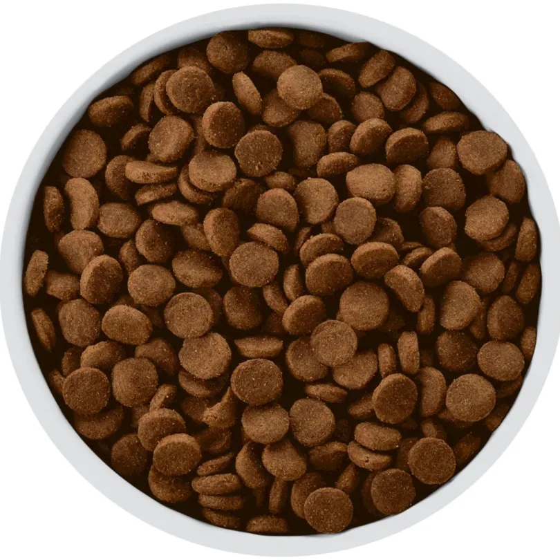 Hills w/d Canino Cuidado Digestivo, Diabetes, Manejo de Peso 7.9kg