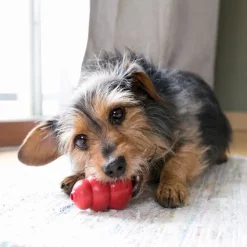 Kong Classic SMALL