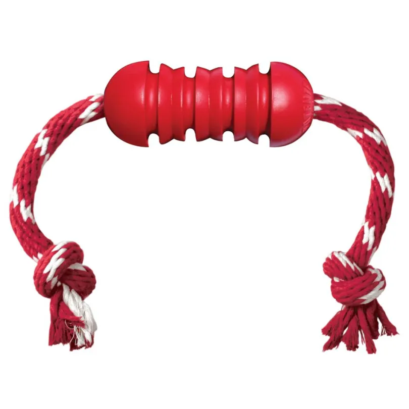 Kong Dental With Rope Small