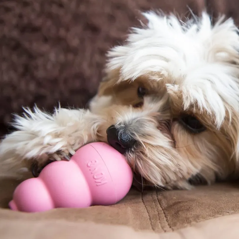 Kong Puppy SMALL
