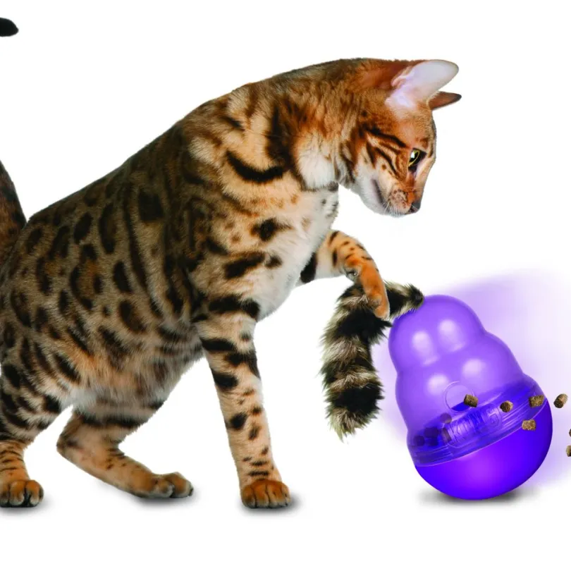 Kong Wobbler Cat