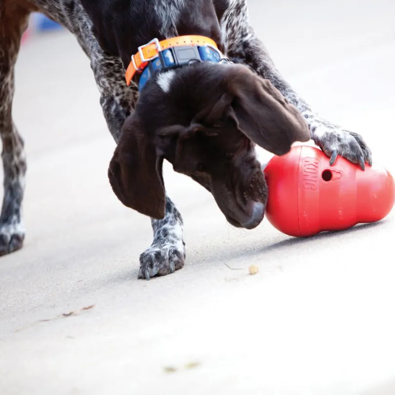 Kong Wobbler SMALL