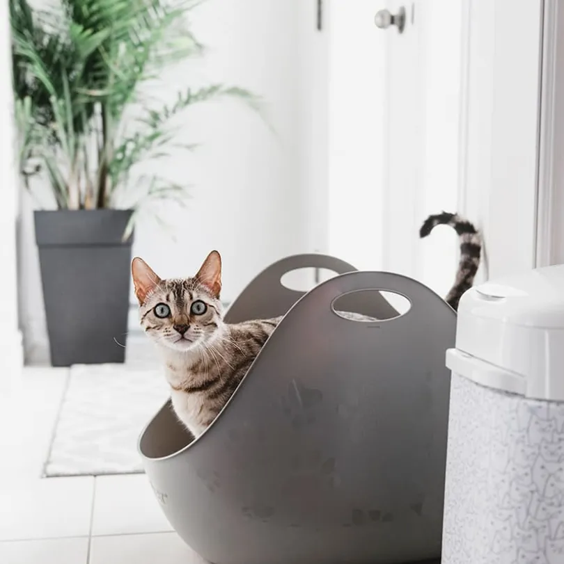 Litter Box Bandeja Sanitaria con pala para Gatos