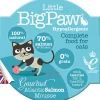 Little Big Paw Snack para Gatos Sabor Salmón Atlantico 85gr