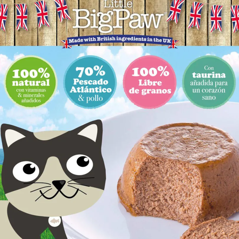 Little Big Paw Snack para Gatos Sabor Salmón Atlantico 85gr