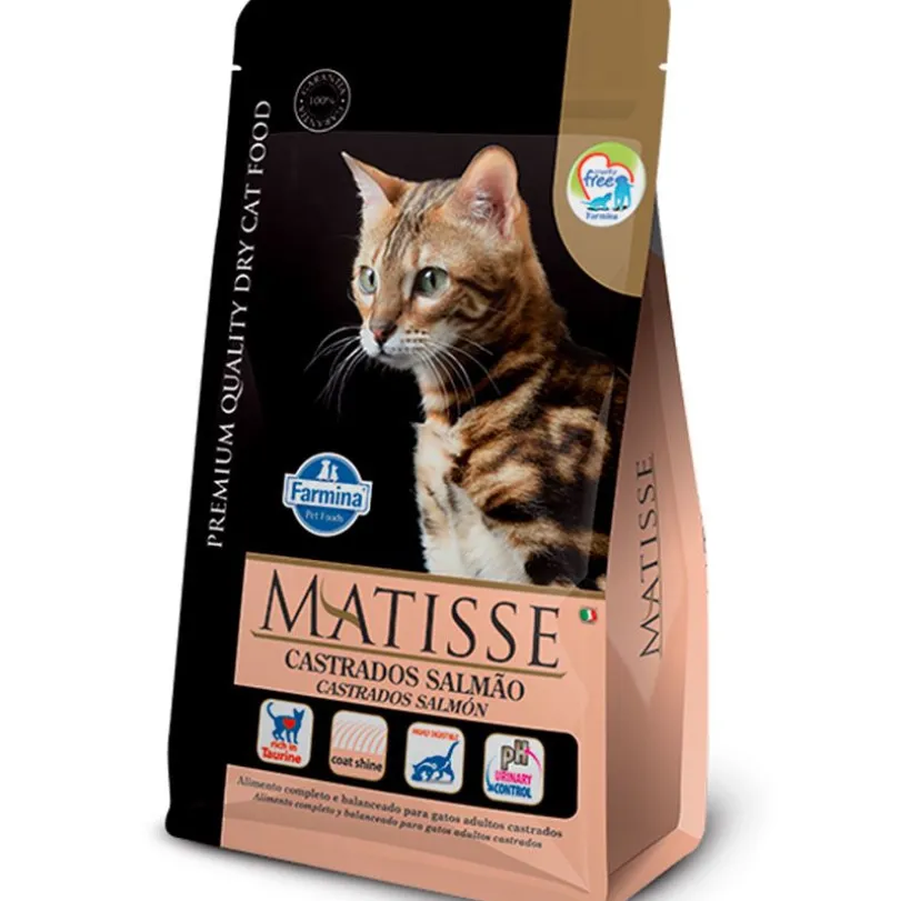 Matisse Gatos Adultos Castrados Salmón 2kg