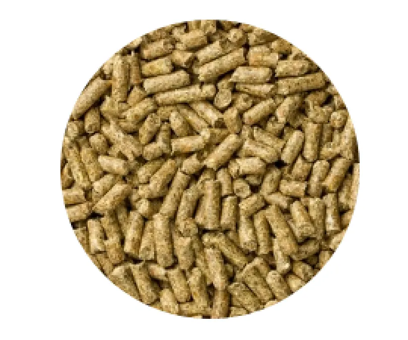 Mazuri Cobayo Cuy 1kg