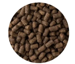 Mazuri Hurón Ferret Diet 2.26kg
