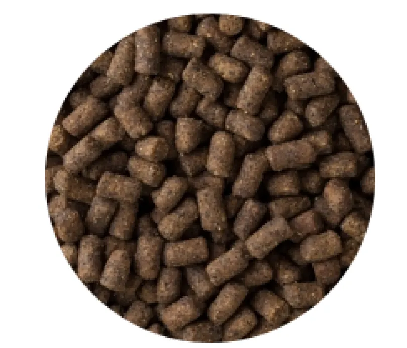 Mazuri Hurón Ferret Diet 4.52kg