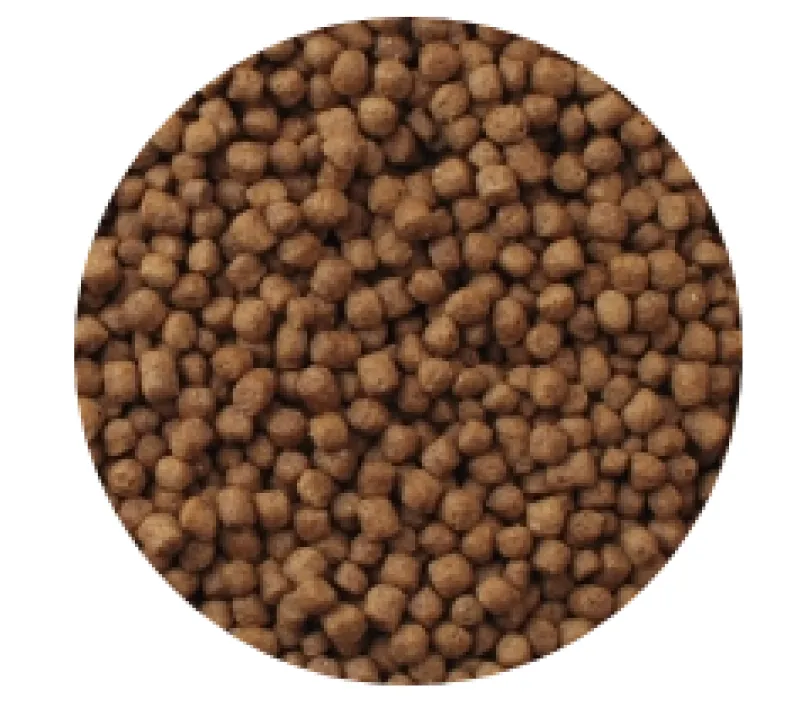 Mazuri Tortuga Acuática Turtle Diet 1.02kg