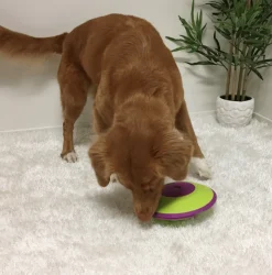 Nina Ottosson Dispensador Maze Nivel 2 Juguete para Perros