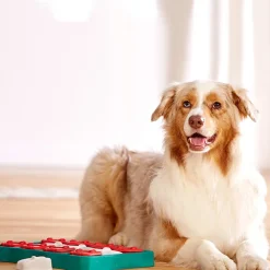 Nina Ottosson Puzzle Brick Nivel 2 Juguete para Perros