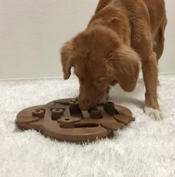 Nina Ottosson Puzzle Hide N Slide Composite Nivel 2 para Perros