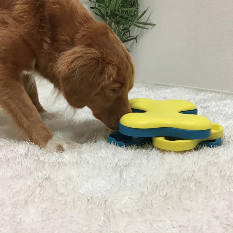 Nina Ottosson Puzzle Tornado Nivel 2 para Perros
